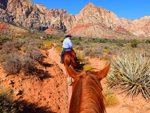Passeio a Cavalo no Red Rock Canyon em Las Vegas - Guia